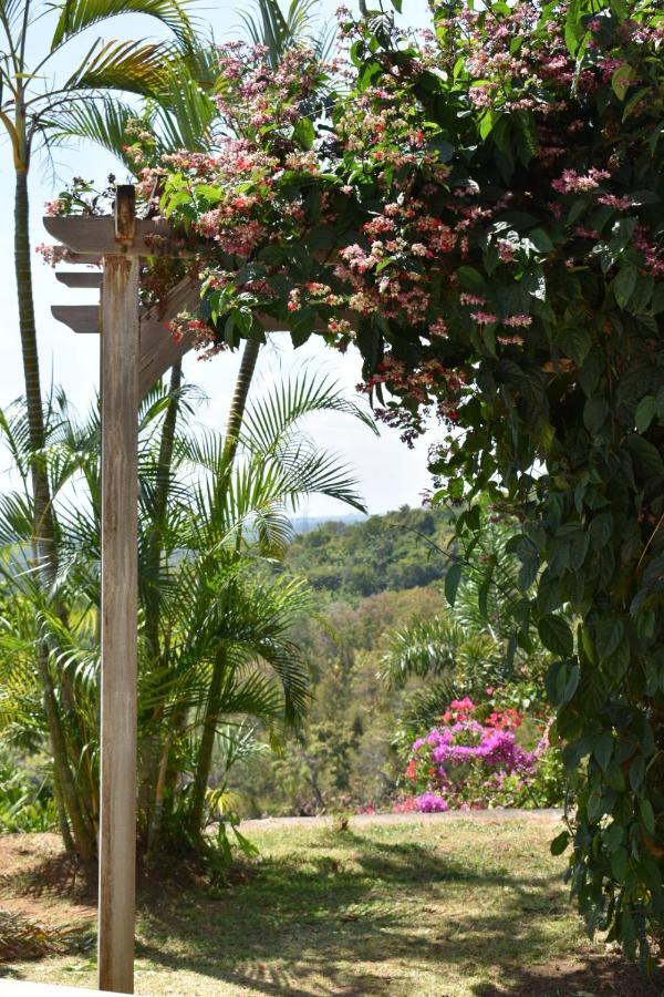 Villa Reva Bali Temukus Buitenkant foto